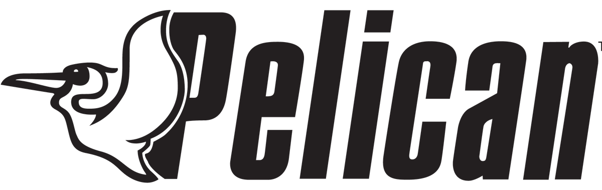 Logo PELICAN